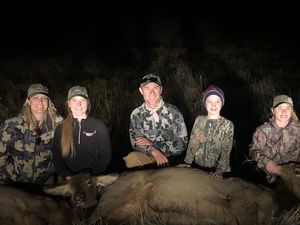 Junior Cow Elk Hunt